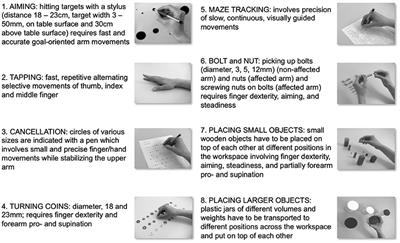 Frontiers Arm  Ability  Training AAT Promotes Dexterity 